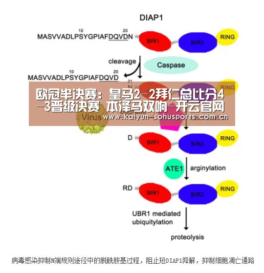 开云中国官网